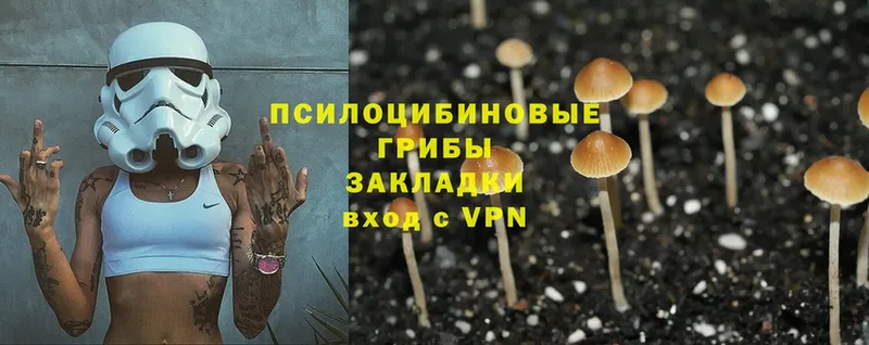 Псилоцибиновые грибы Cubensis  Красный Кут 